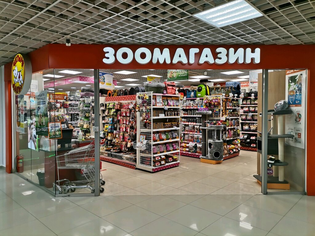 Четыре лапы